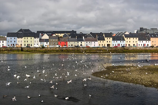Beautiful Galway Houses and Birds flying